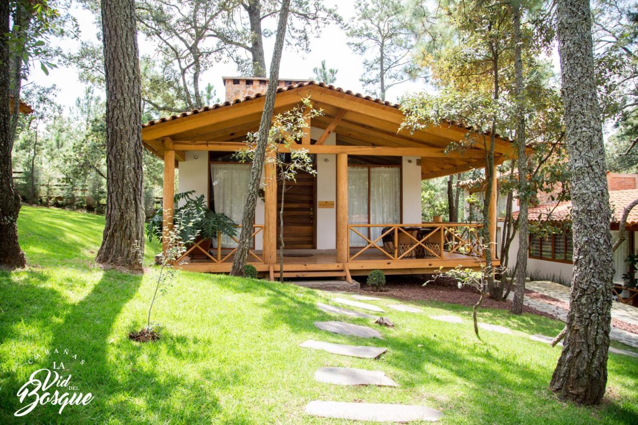 ホテル Cabanas La Vid Del Bosque タパルパ エクステリア 写真