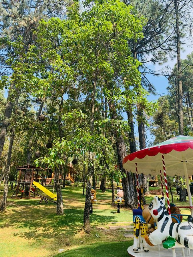 ホテル Cabanas La Vid Del Bosque タパルパ エクステリア 写真